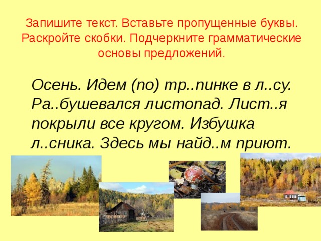 Запишите текст. Вставьте пропущенные буквы. Раскройте скобки. Подчеркните грамматические основы предложений.  Осень. Идем (по) тр..пинке в л..су. Ра..бушевался листопад. Лист..я покрыли все кругом. Избушка л..сника. Здесь мы найд..м приют. 