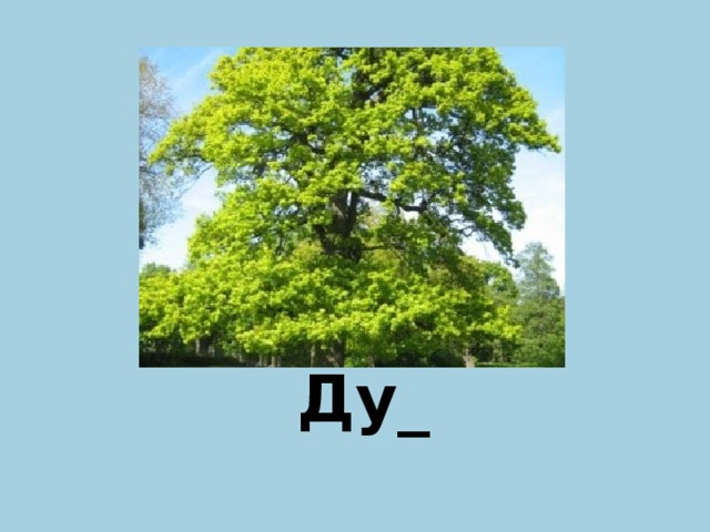 Ду_ Б  