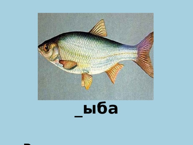 _ыба Р  
