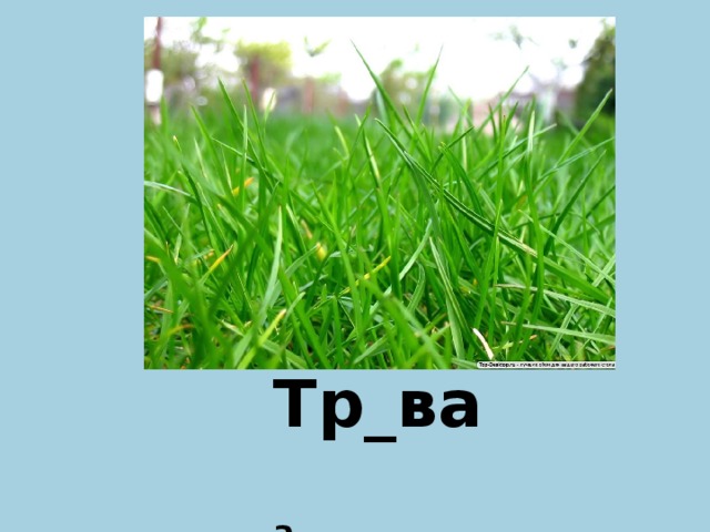 Тр_ва а  
