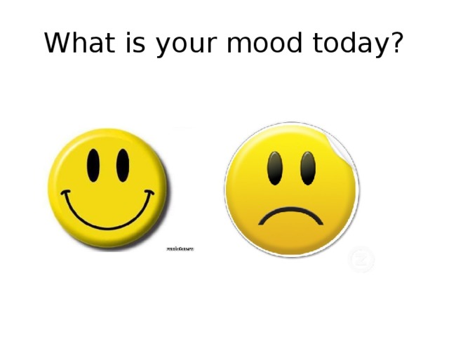 What is your mood today? 