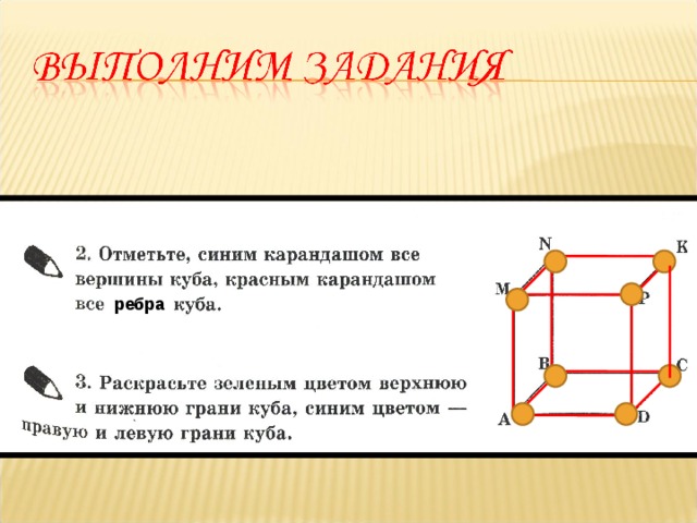 ребра 