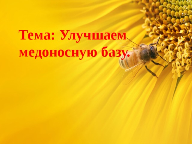 Тема: Улучшаем  медоносную базу. 