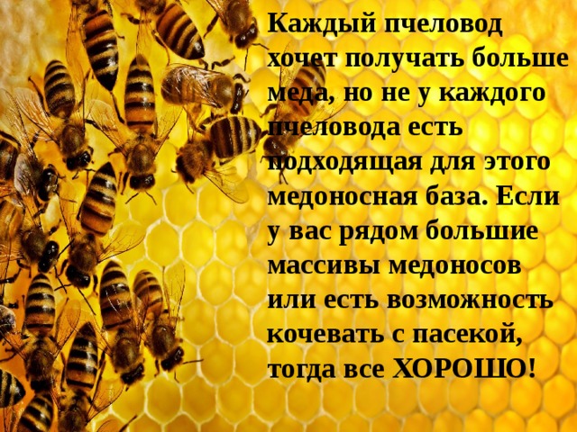 Каждый пчеловод хочет получать больше меда, но не у каждого пчеловода есть подходящая для этого медоносная база. Если у вас рядом большие массивы медоносов или есть возможность кочевать с пасекой, тогда все ХОРОШО! 
