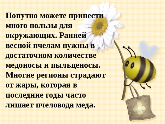 Попутно можете принести много пользы для окружающих. Ранней весной пчелам нужны в достаточном количестве медоносы и пыльценосы. Многие регионы страдают от жары, которая в последние годы часто лишает пчеловода меда. 