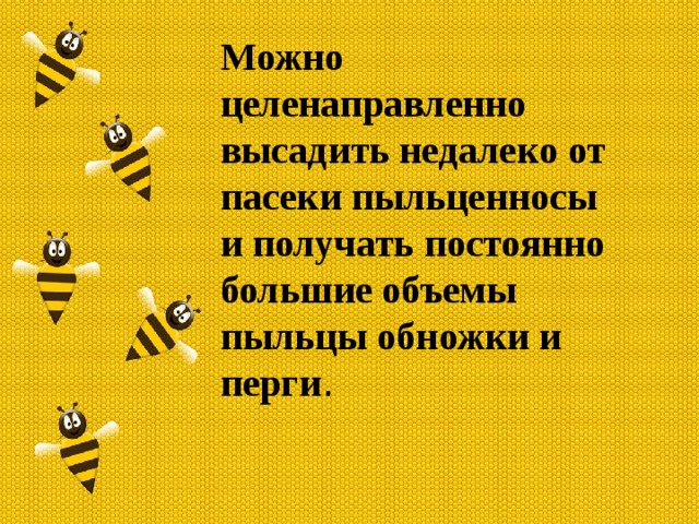 Можно целенаправленно высадить недалеко от пасеки пыльценносы и получать постоянно большие объемы пыльцы обножки и перги . 