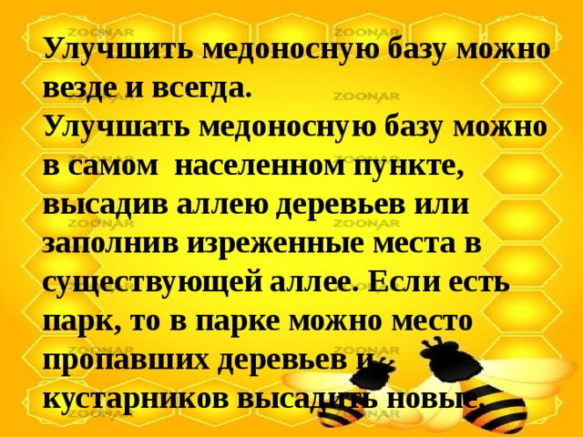 Улучшить медоносную базу можно везде и всегда. Улучшать медоносную базу можно в самом  населенном пункте, высадив аллею деревьев или заполнив изреженные места в существующей аллее. Если есть парк, то в парке можно место пропавших деревьев и кустарников высадить новые. 