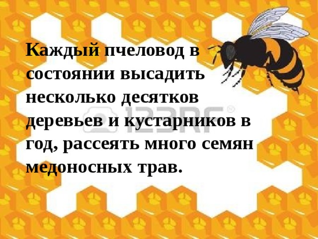 Каждый пчеловод в состоянии высадить несколько десятков деревьев и кустарников в год, рассеять много семян медоносных трав. 