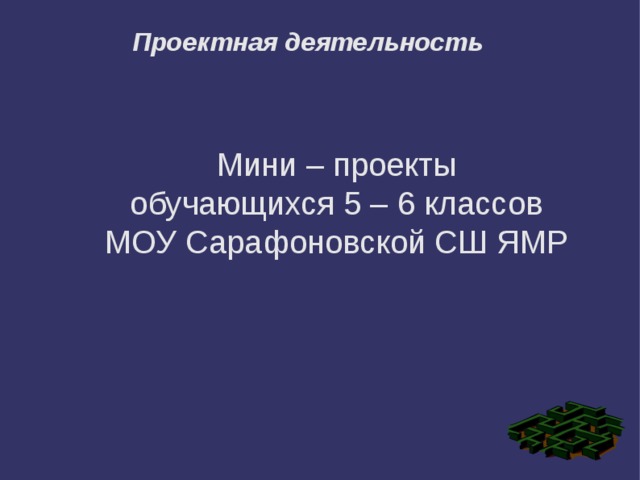 Проектная деятельность Мини – проекты обучающихся 5 – 6 классов МОУ Сарафоновской СШ ЯМР  