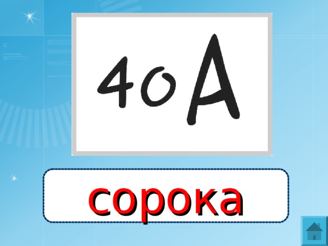 сорока 