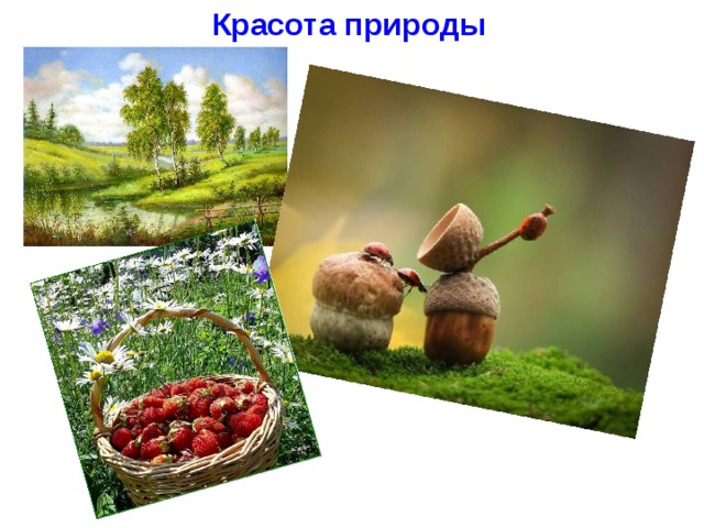 Красота природы 