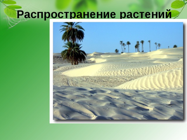 Распространение растений 