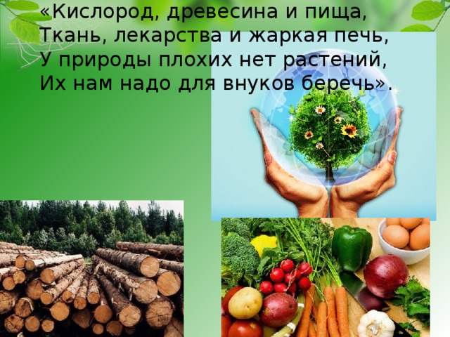 «Кислород, древесина и пища,  Ткань, лекарства и жаркая печь,  У природы плохих нет растений,  Их нам надо для внуков беречь». 