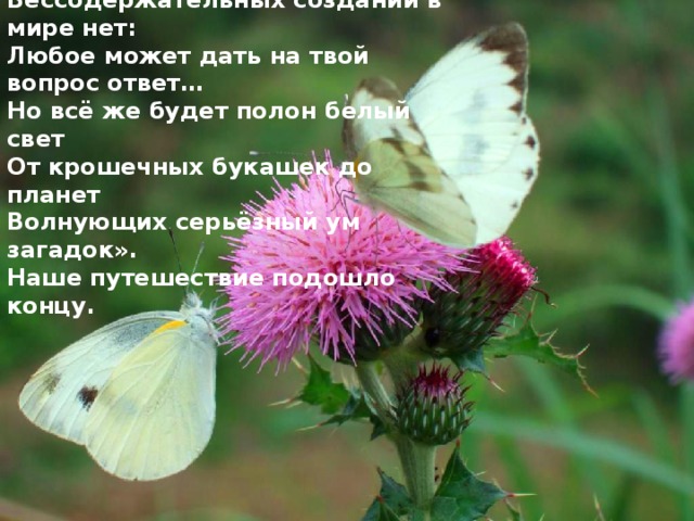 «В природе всё достойно изученья.  Бессодержательных созданий в мире нет:  Любое может дать на твой вопрос ответ…  Но всё же будет полон белый свет  От крошечных букашек до планет  Волнующих серьёзный ум загадок».  Наше путешествие подошло концу. 
