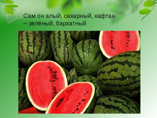 Сам он алый, сахарный, кафтан – зелёный, бархатный 