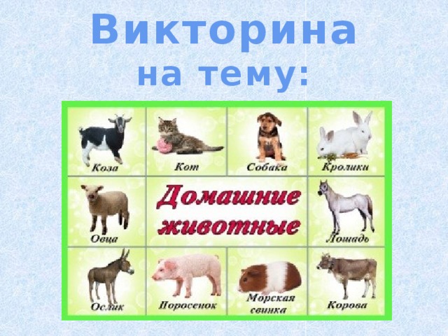 Викторина на тему: 