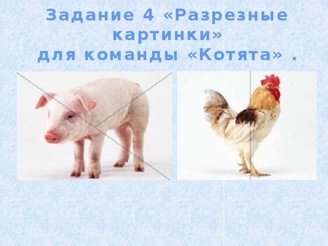 Задание 4 «Разрезные картинки» для команды «Котята» . 