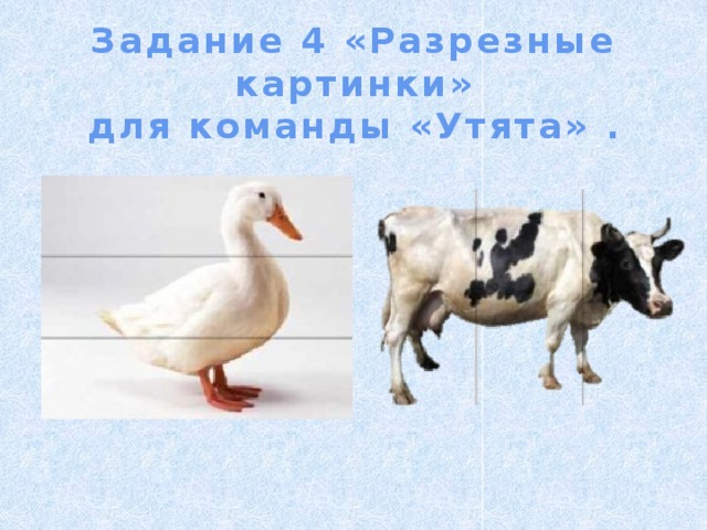 Задание 4 «Разрезные картинки» для команды «Утята» . 