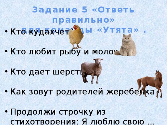 Задание 5 «Ответь правильно» для команды «Утята» . Кто кудахчет? Кто любит рыбу и молоко? Кто дает шерсть? Как зовут родителей жеребенка? Продолжи строчку из стихотворения: Я люблю свою … 