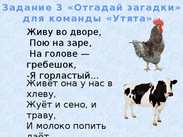 Задание 3 «Отгадай загадки» для команды «Утята» . Живу во дворе,  Пою на заре,  На голове — гребешок, -Я горластый... Живёт она у нас в хлеву,  Жуёт и сено, и траву,  И молоко попить даёт.  Так кто её мне назовёт? 