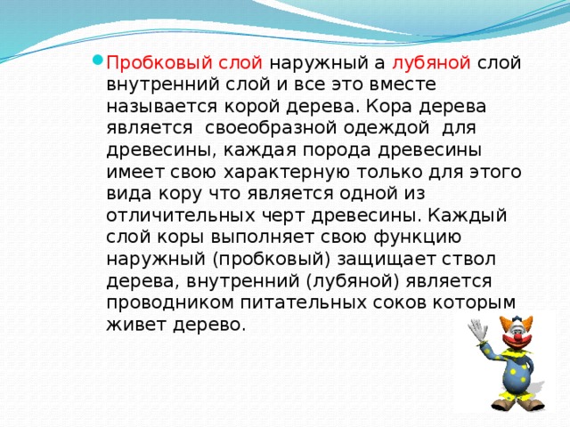 Пробковый слой наружный а лубяной слой внутренний слой и все это вместе называется корой дерева. Кора дерева является своеобразной одеждой для древесины, каждая порода древесины имеет свою характерную только для этого вида кору что является одной из отличительных черт древесины. Каждый слой коры выполняет свою функцию наружный (пробковый) защищает ствол дерева, внутренний (лубяной) является проводником питательных соков которым живет дерево. 