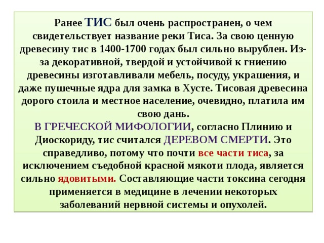 Ранее тис был очень распространен, о чем свидетельствует название реки Тиса. За свою ценную древесину тис в 1400-1700 годах был сильно вырублен. Из-за декоративной, твердой и устойчивой к гниению древесины изготавливали мебель, посуду, украшения, и даже пушечные ядра для замка в Хусте. Тисовая древесина дорого стоила и местное население, очевидно, платила им свою дань. В греческой мифологии , согласно Плинию и Диоскориду, тис считался деревом смерти . Это справедливо, потому что почти все части тиса , за исключением съедобной красной мякоти плода, является сильно ядовитыми. Составляющие части токсина сегодня применяется в медицине в лечении некоторых заболеваний нервной системы и опухолей. 