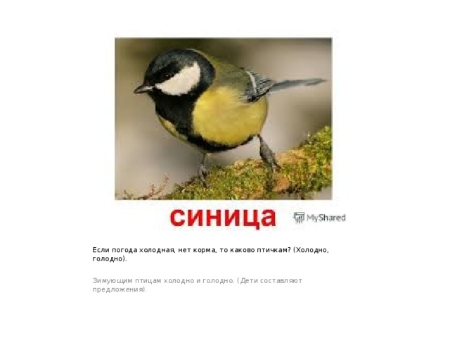 Если погода холодная, нет корма, то каково птичкам? (Холодно, голодно). Зимующим птицам холодно и голодно. (Дети составляют предложения). 
