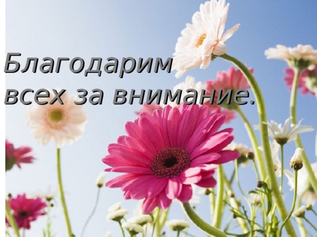 Благодарим  всех за внимание. 