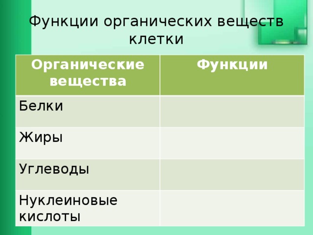 Функции органических веществ клетки Органические вещества Функции Белки Жиры Углеводы Нуклеиновые кислоты 