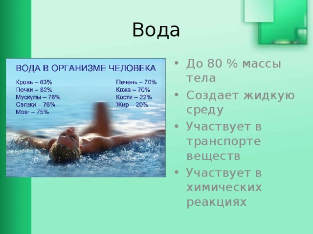 Вода До 80 % массы тела Создает жидкую среду Участвует в транспорте веществ Участвует в химических реакциях 
