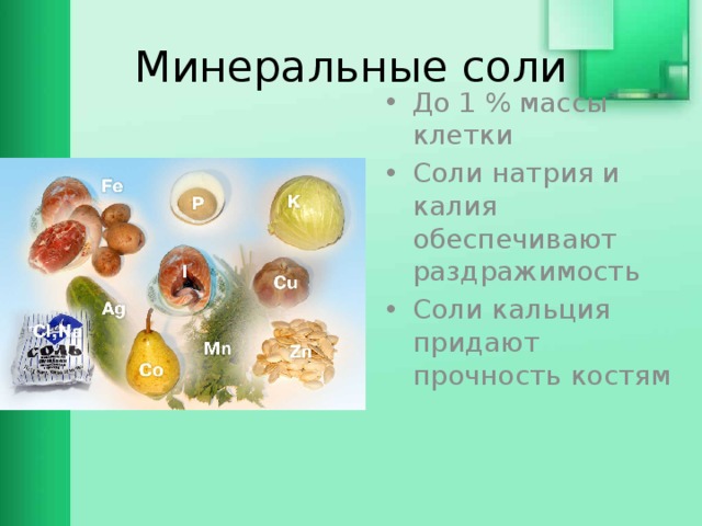 Минеральные соли До 1 % массы клетки Соли натрия и калия обеспечивают раздражимость Соли кальция придают прочность костям 