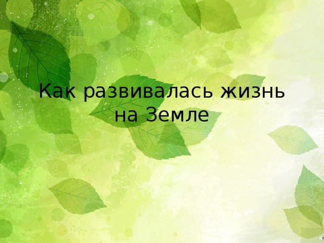 Как развивалась жизнь на Земле 