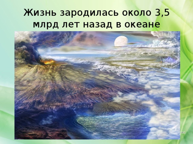 Жизнь зародилась около 3,5 млрд лет назад в океане 