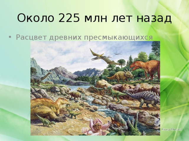 Около 225 млн лет назад Расцвет древних пресмыкающихся 