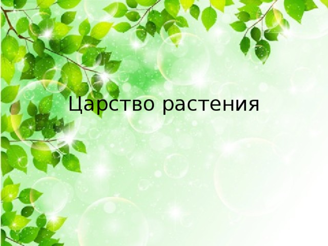 Царство растения 