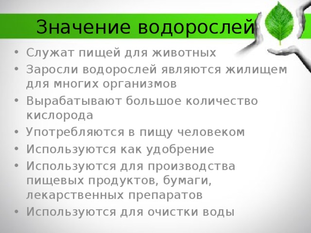 Значение водорослей Служат пищей для животных Заросли водорослей являются жилищем для многих организмов Вырабатывают большое количество кислорода Употребляются в пищу человеком Используются как удобрение Используются для производства пищевых продуктов, бумаги, лекарственных препаратов Используются для очистки воды 