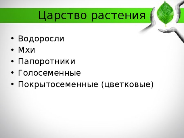 Царство растения Водоросли Мхи Папоротники Голосеменные Покрытосеменные (цветковые) 