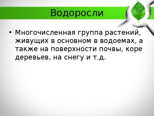 Водоросли Многочисленная группа растений, живущих в основном в водоемах, а также на поверхности почвы, коре деревьев, на снегу и т.д. 