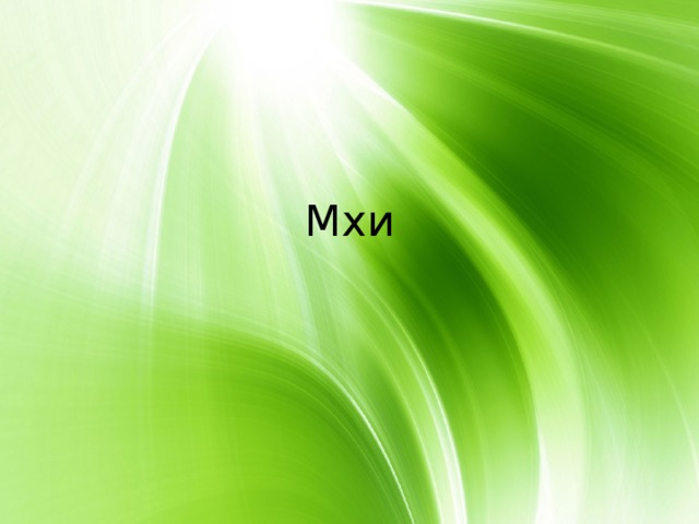 Мхи 