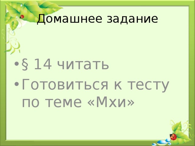Домашнее задание § 14 читать Готовиться к тесту по теме «Мхи» 