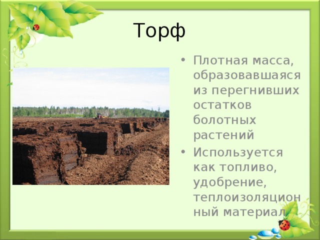 Торф Плотная масса, образовавшаяся из перегнивших остатков болотных растений Используется как топливо, удобрение, теплоизоляционный материал 