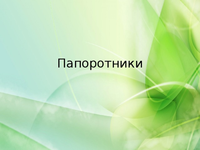 Папоротники 