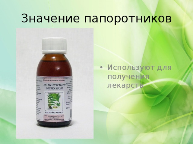 Значение папоротников Используют для получения лекарств 