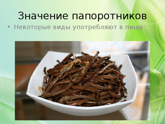 Значение папоротников Некоторые виды употребляют в пищу 