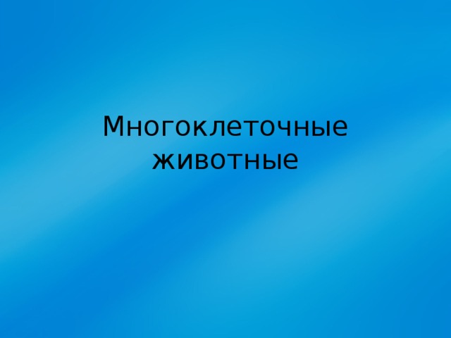 Многоклеточные животные 