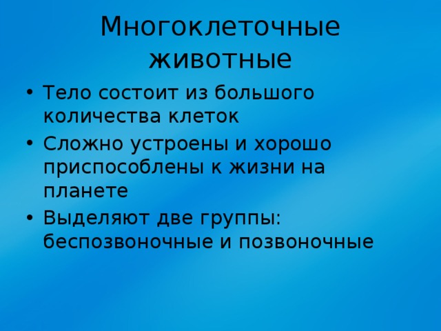 Многоклеточные животные Тело состоит из большого количества клеток Сложно устроены и хорошо приспособлены к жизни на планете Выделяют две группы: беспозвоночные и позвоночные 