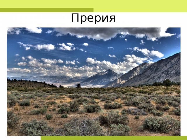 Прерия 