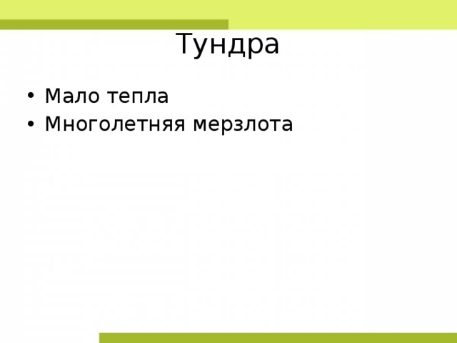 Тундра Мало тепла Многолетняя мерзлота 