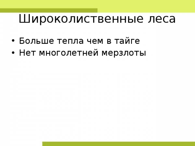 Широколиственные леса Больше тепла чем в тайге Нет многолетней мерзлоты 