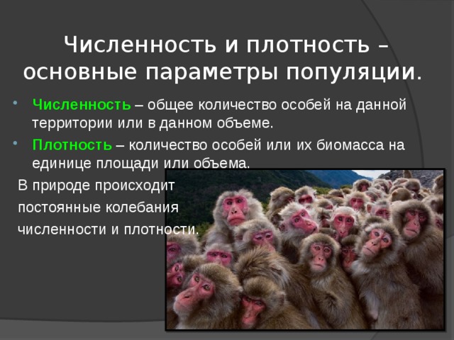 Численность и плотность – основные параметры популяции. Численность – общее количество особей на данной территории или в данном объеме.  Плотность  – количество особей или их биомасса на единице площади или объема.  В природе происходит  постоянные колебания  численности и плотности. 